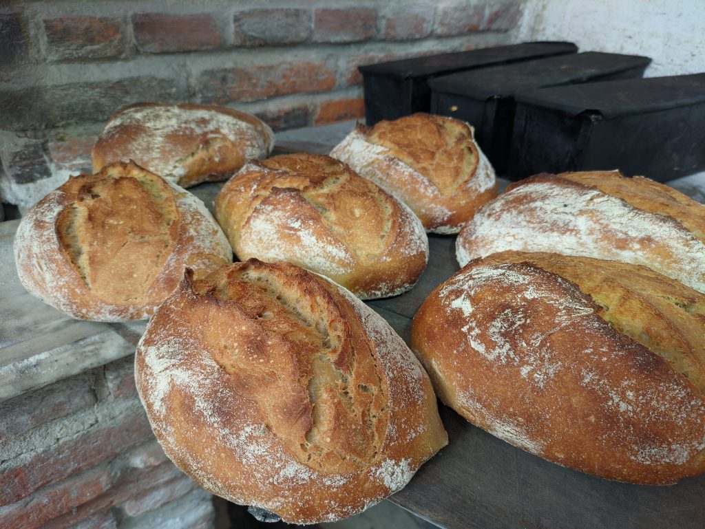 Beautifull breads